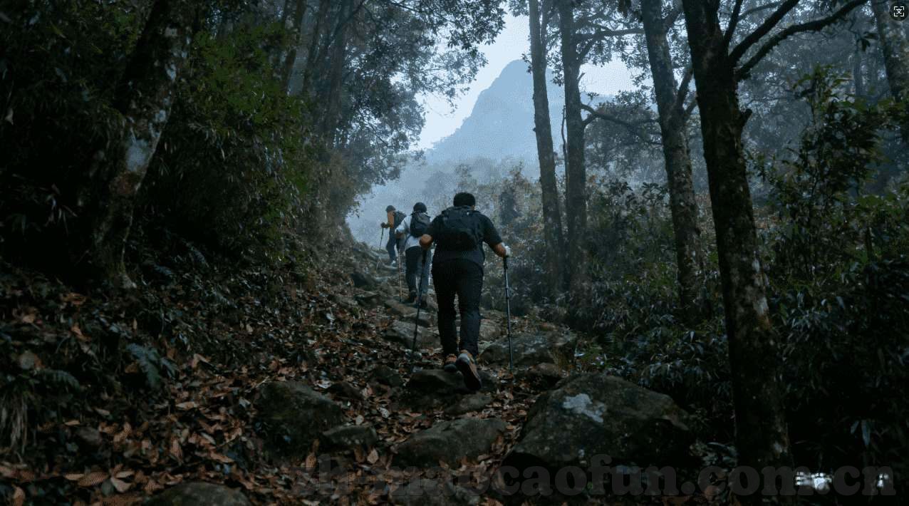 炸金花活-炸金花活，一场关于生活与艺术的奇妙碰撞