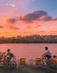 足球比分直播fkzhibo-深度解析,足球比分直播FKZhibo背后的技术革新与用户体验升级